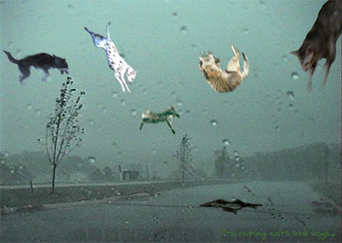 A painting of cats and dogs literally falling out of sky with raindrops.