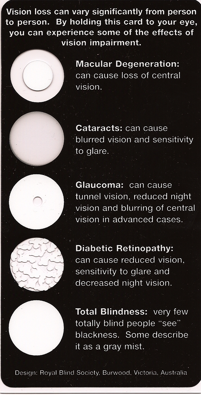 A vision simulator card with windows that create the effect of various vision problems